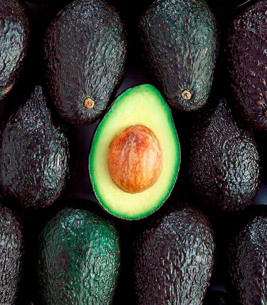 palta hass fruto fresco